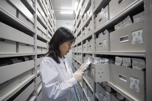 物聯網技術研發 驅動黑龍江高質量發展的新引擎